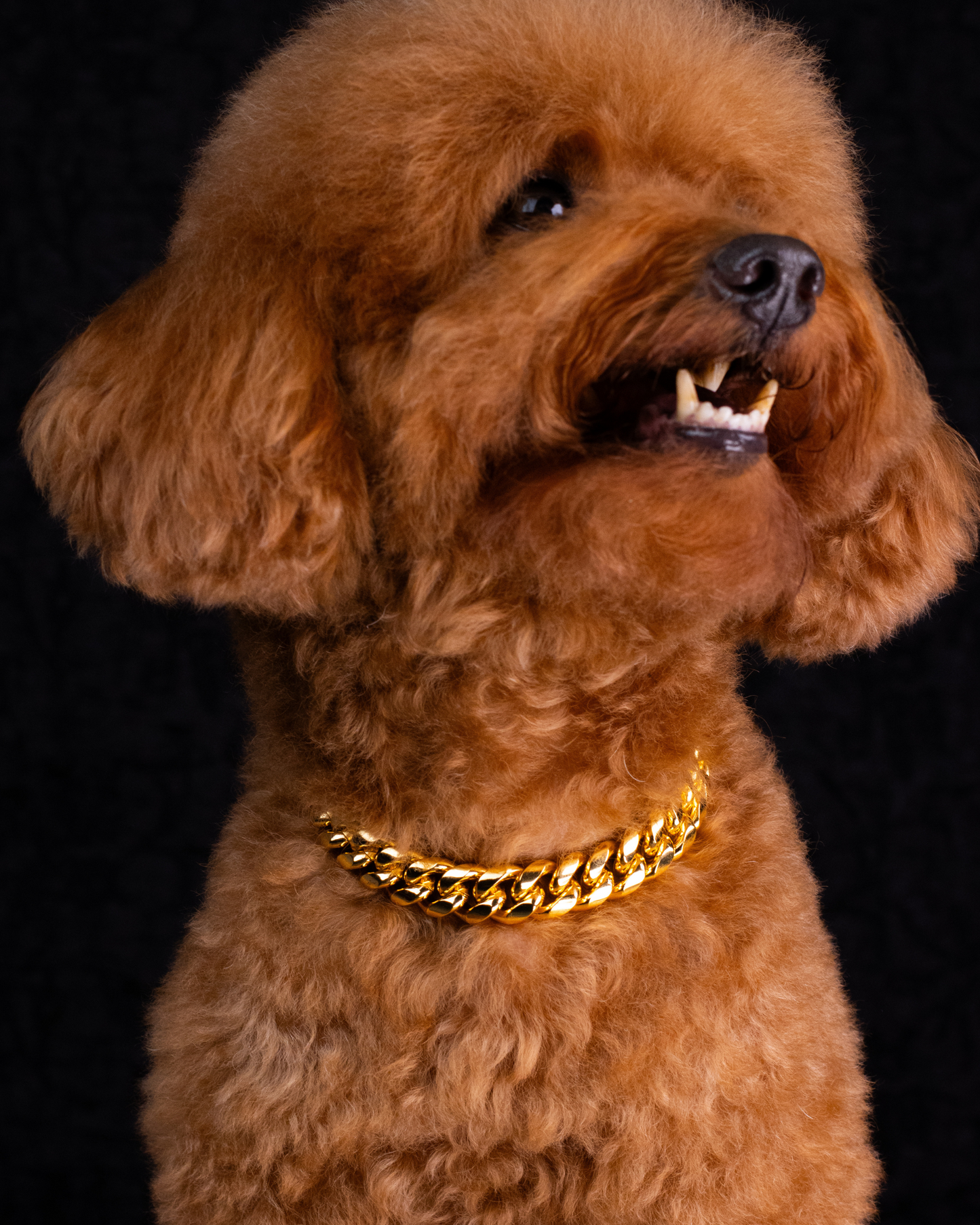 18k Gold Deluxe Chain